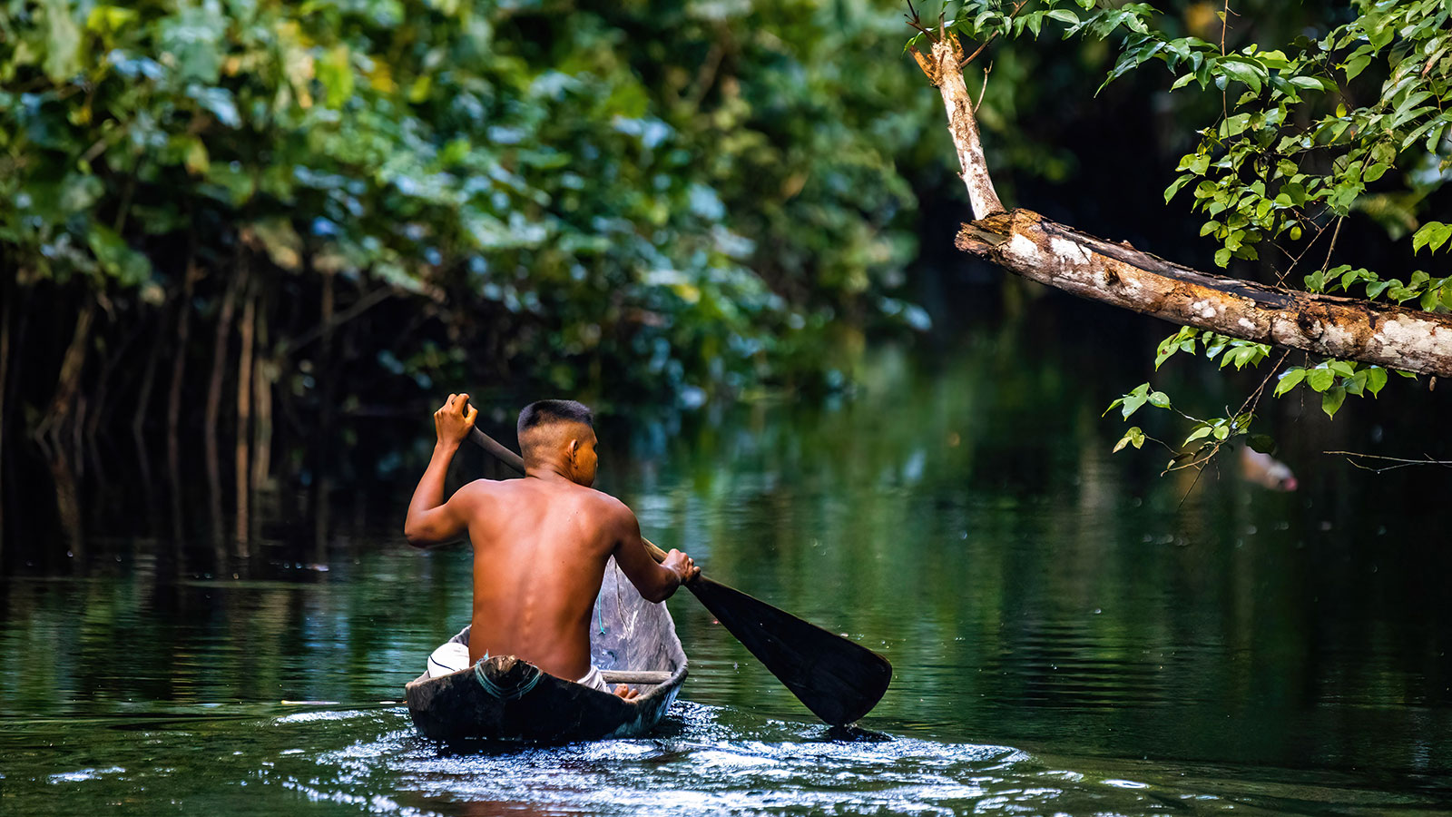 Amazônia em Grupo
